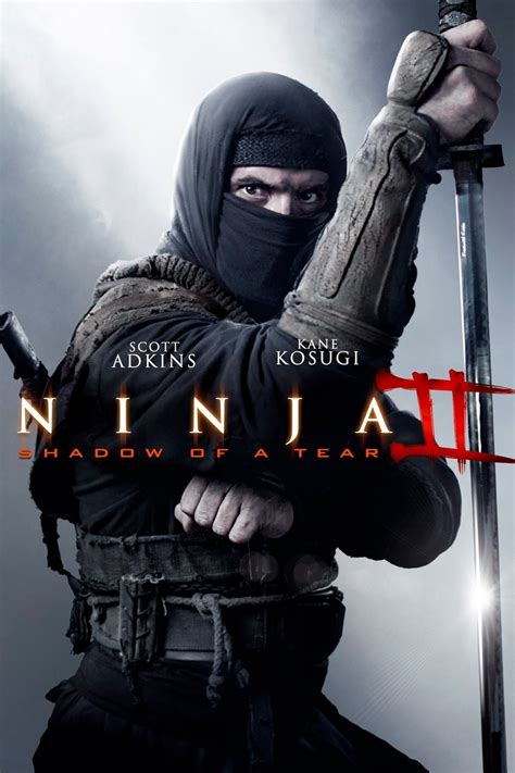 cool ninja movies|ninja movies in english.